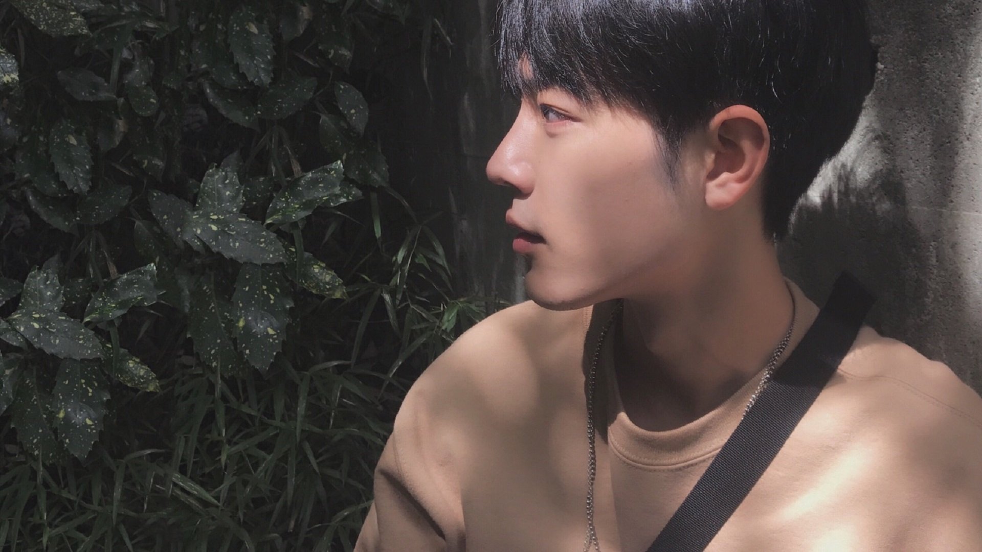 _森林狼团队出色,逐渐逼近季后赛_,森林狼队比赛