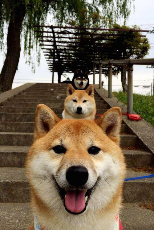 乐鱼体育(中国)官方网站-全国青少年“篮球+未来”科技创新大赛火热开幕，青少年篮球职业联赛