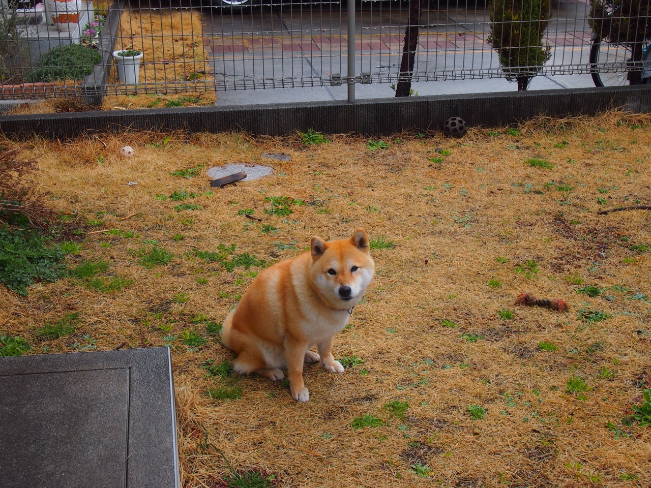 乐鱼体育APP官方下载-太极拳运动会：中华传统的健康之道，运动会太极拳表演