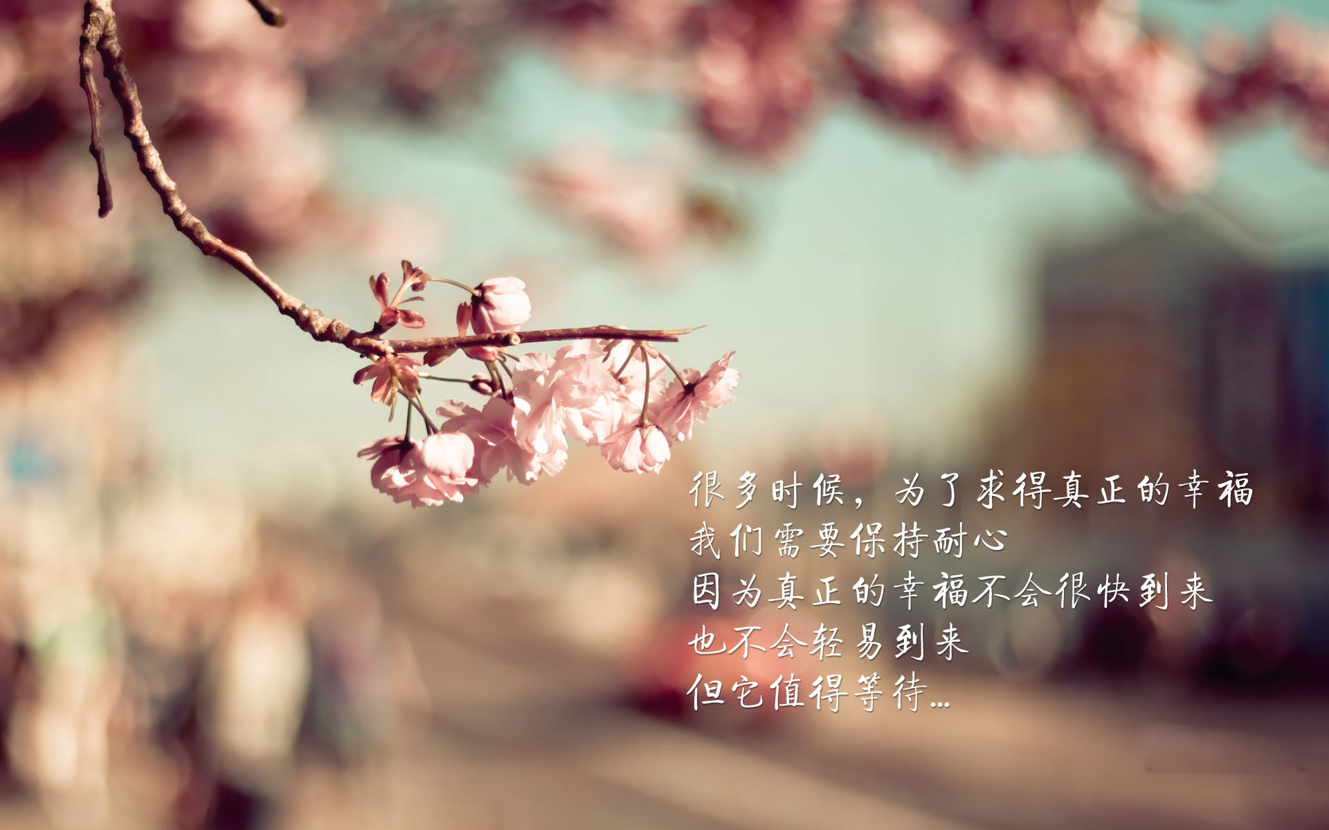 德甲赛场再次上演神奇逆转,德甲ds.