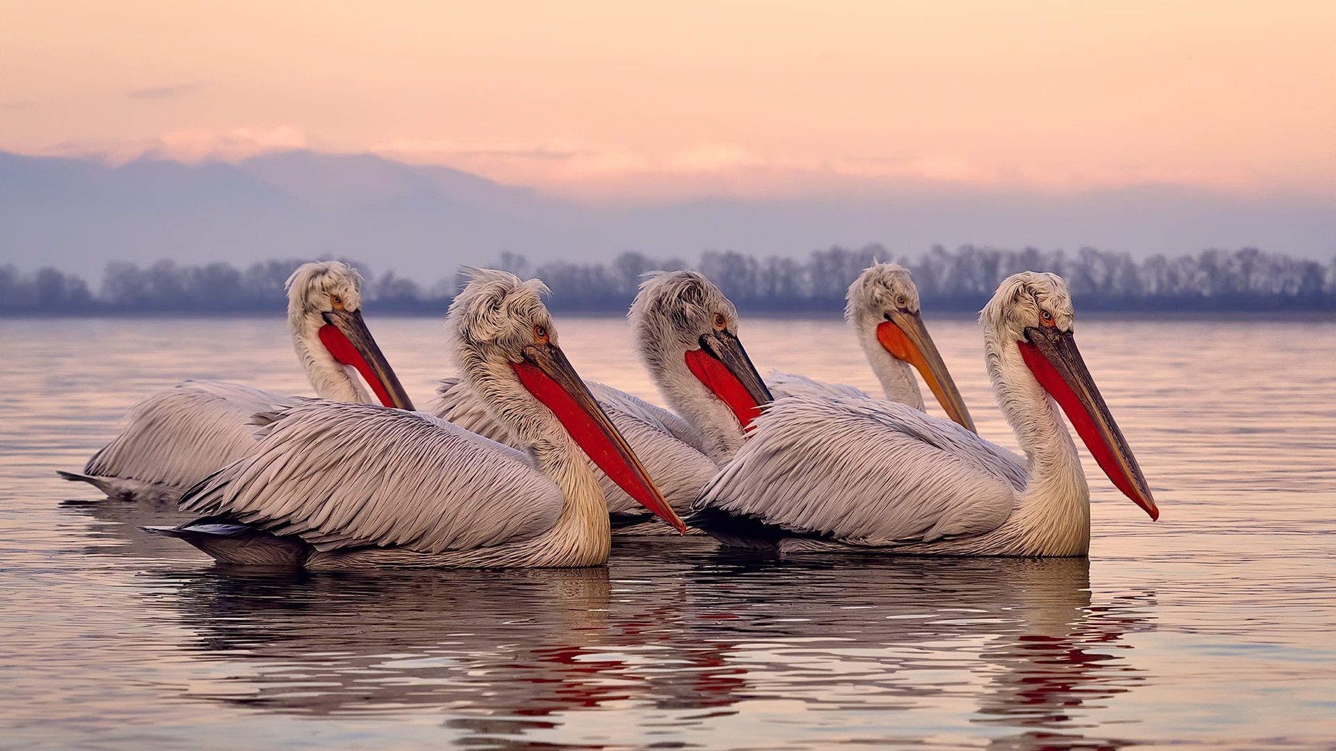 特色漂流探险队，挑战河流中的惊险景色，漂流探险作文