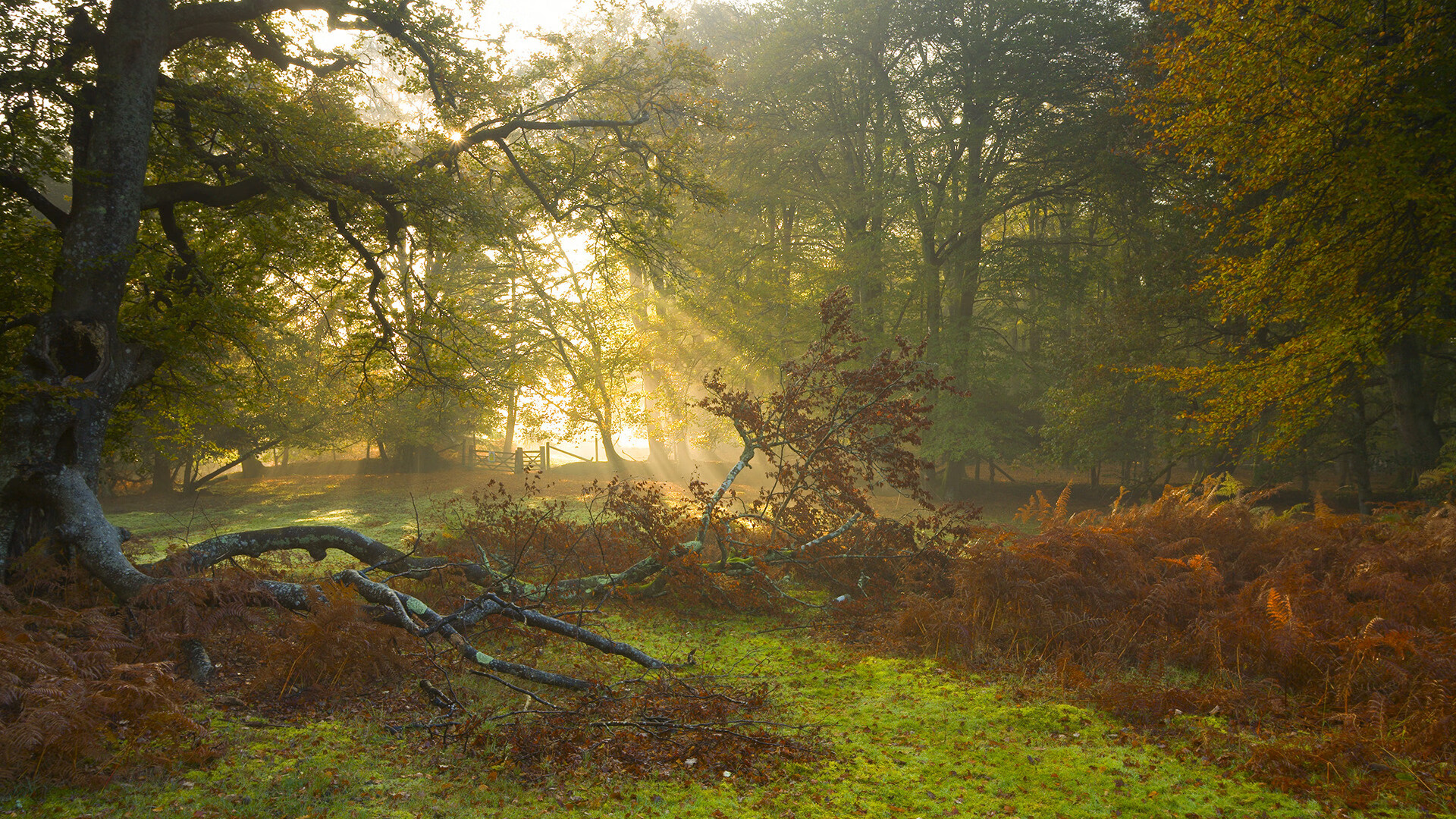 西甲“天王”表现抢眼，精彩射门成为最佳瞬间，西甲射手榜2019一2020