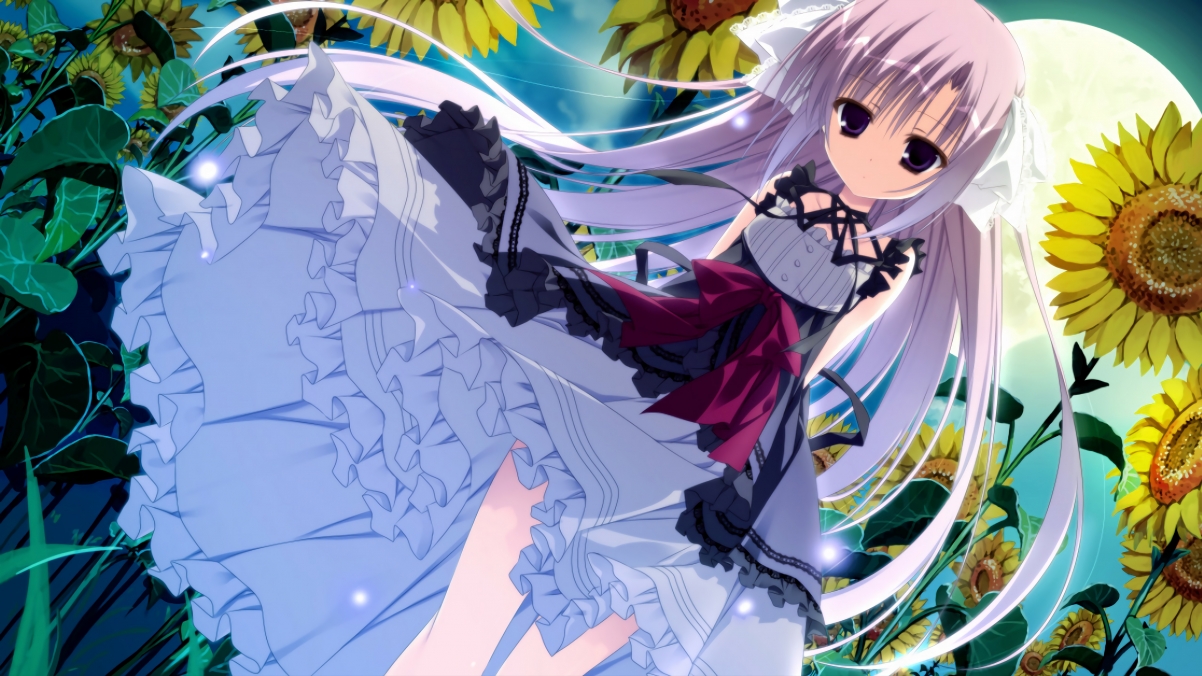 足球相关专业高职招生人数持续上升,足球专业高考