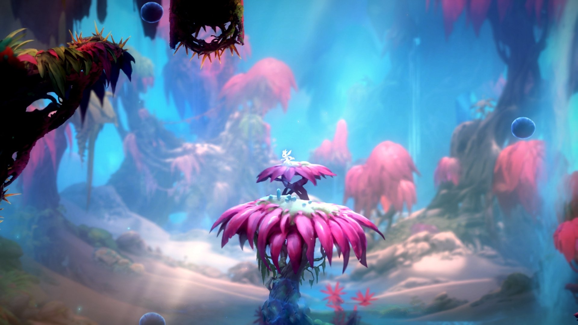 青奥会举办权确定，2027年落户南非开普敦，青奥会有哪些国家参加