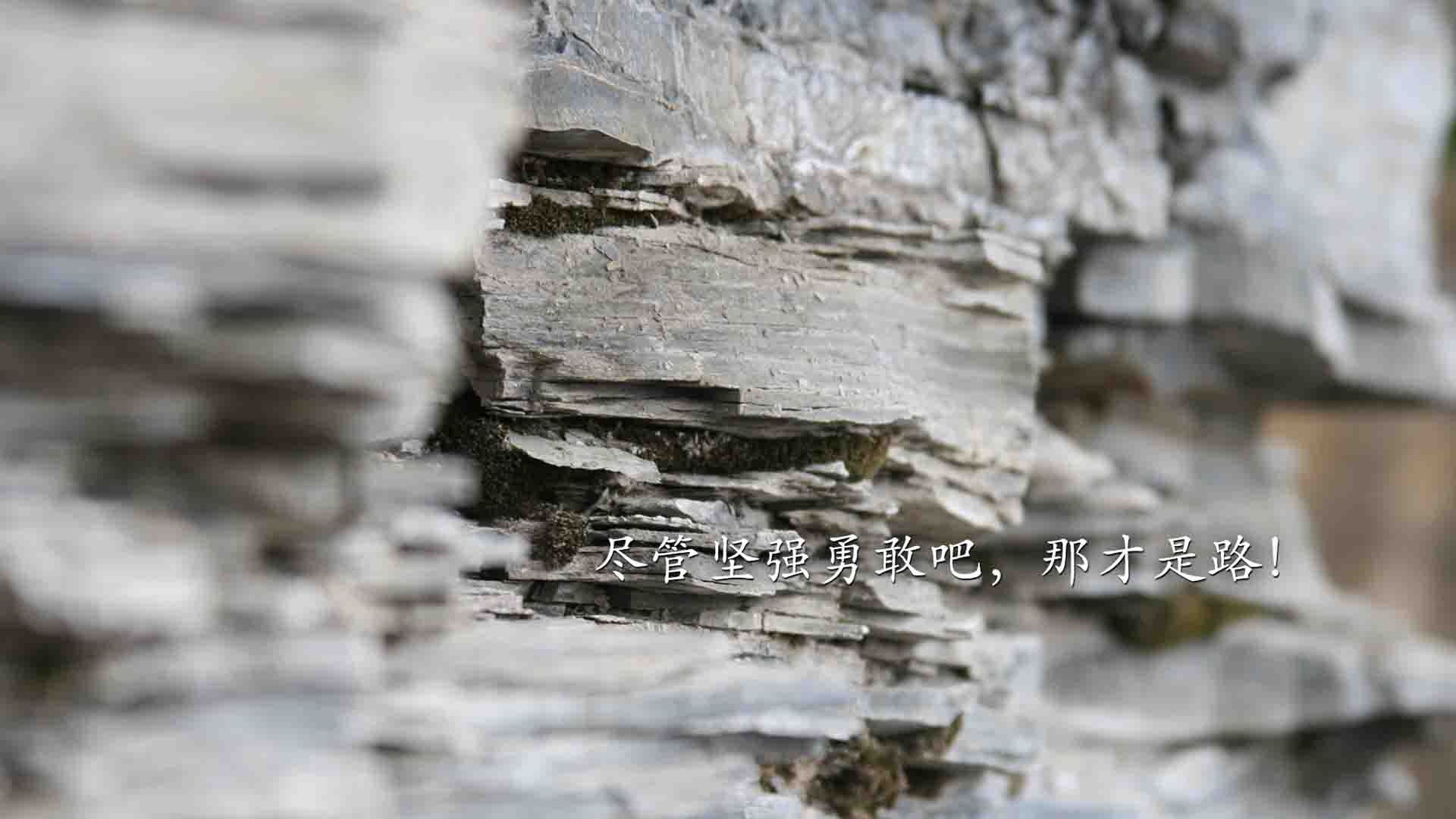 乌帕梅卡诺续约拜仁慕尼黑,乌帕梅卡诺 拜仁