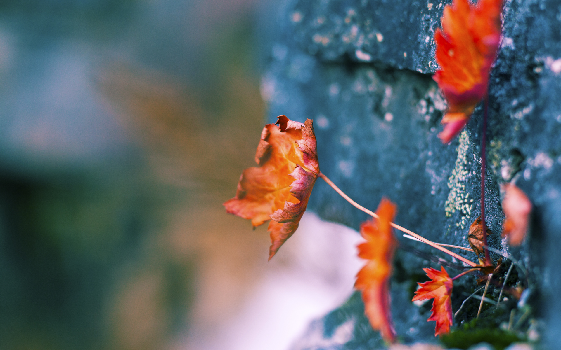 乐鱼电竞在线平台登录入口-战绩不俗球队交锋，实力对决点燃球场热度，球队对比