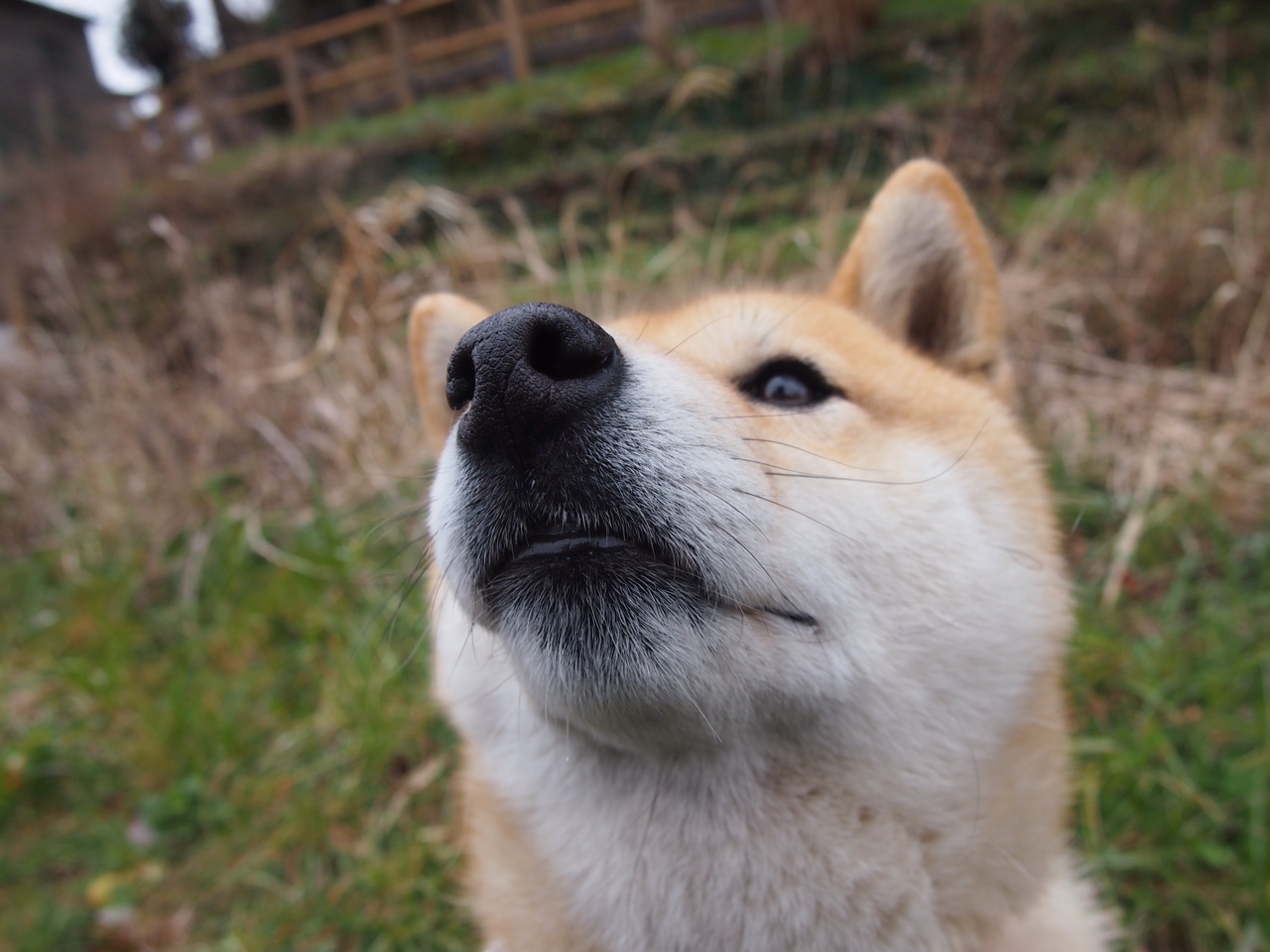 无畏挑战！球队团结一心迎接强手对决，无畏篮球