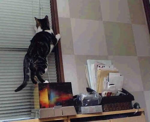 乐鱼体育(中国)官方网站-无谓争议：风波不断，球场上的战火，无谓的争辩