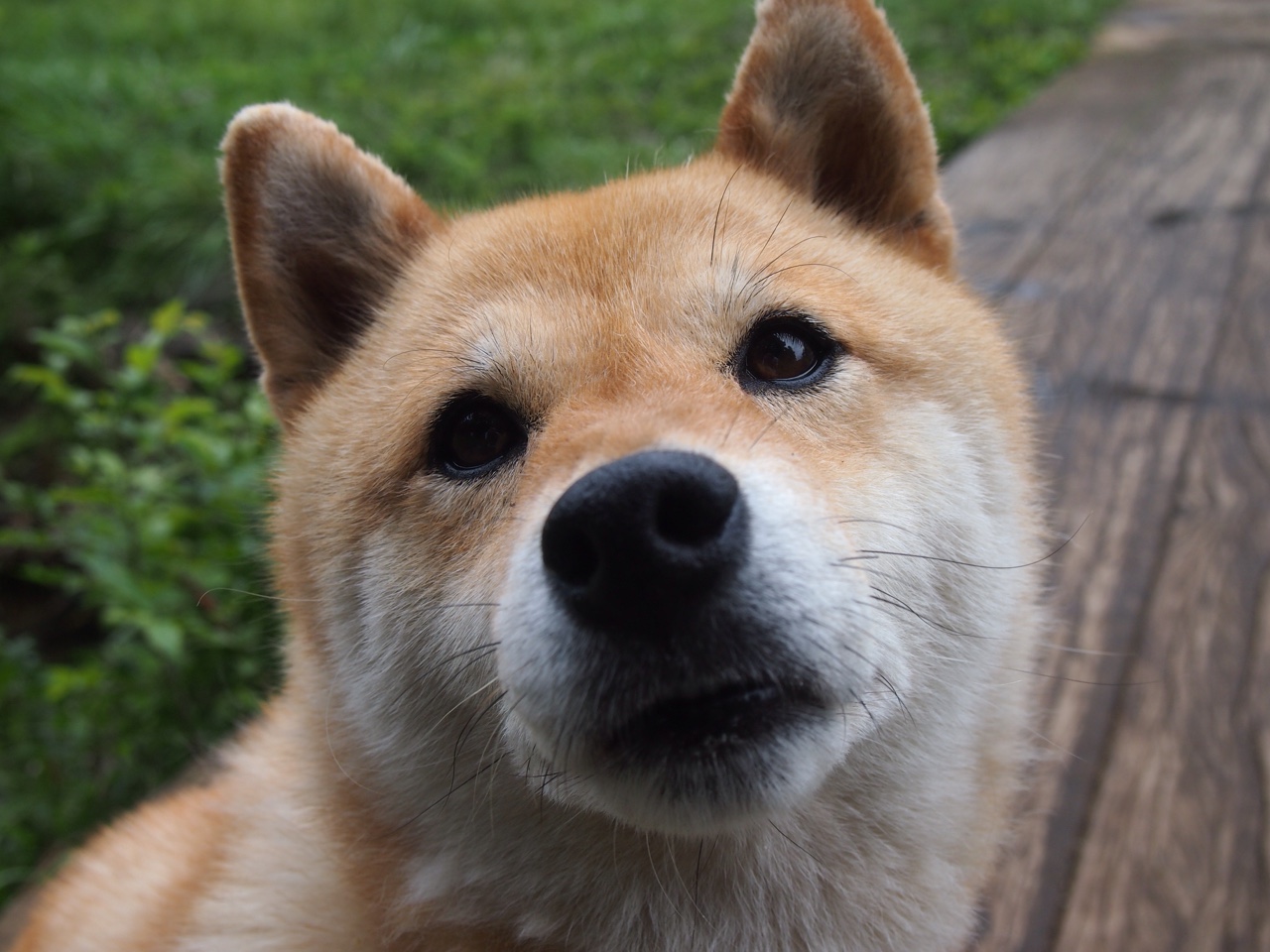 Leyu Sport下载-瑞士女足球员雪地铲球太猛，把对手铲进雪堆，瑞士女足国脚