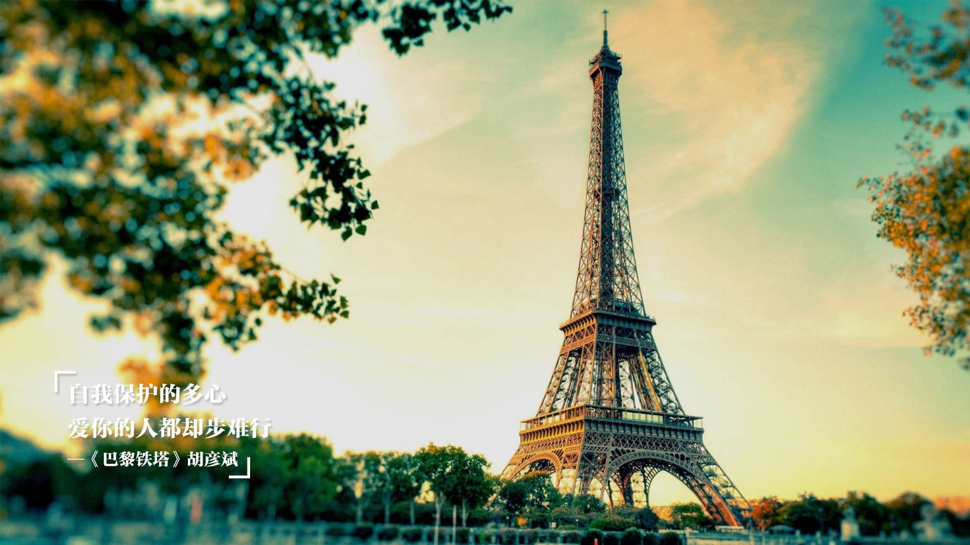 下载乐鱼体育APP-选手社交媒体影响力提升，社交媒体的意见领袖