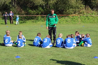 乐鱼电竞在线平台-中国篮球教练员战术创新能力培养及培训机制探讨，篮球教练员素养