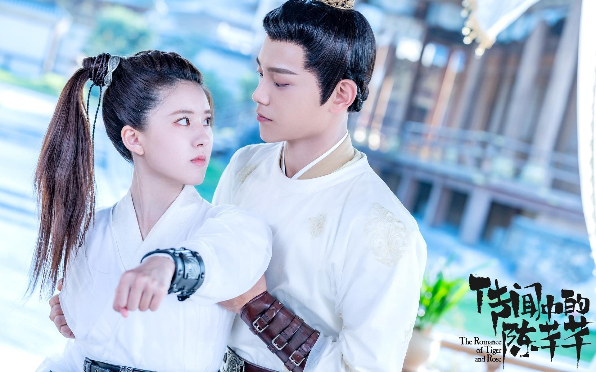 数字体育内容创作者发展路径与行业标准研究,数字体育项目