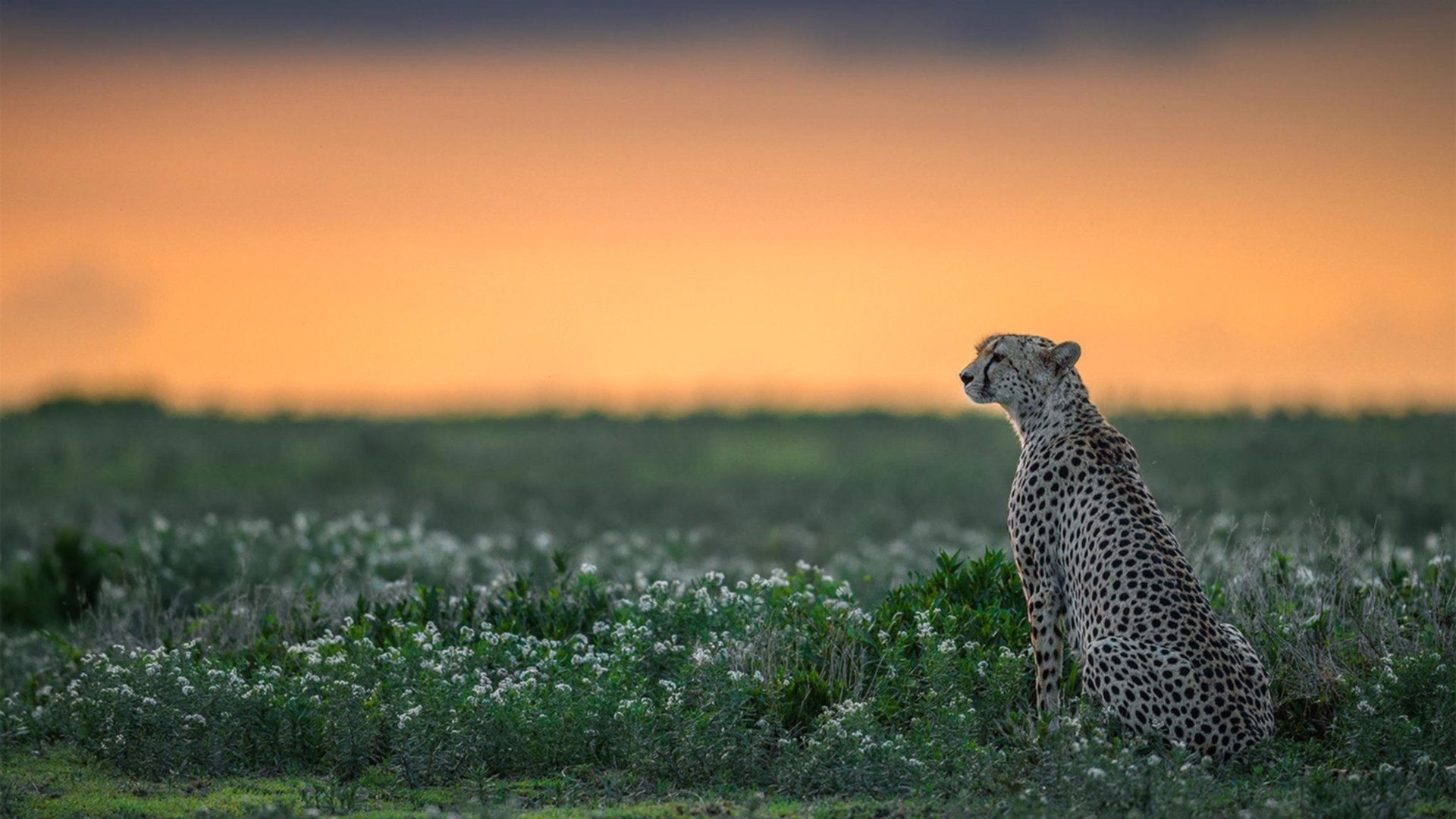 乐鱼娱乐app-中立B男选手在转身后发力能力提升