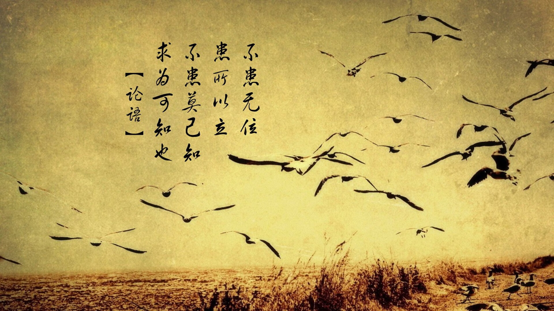 中超联赛国家队惨败 球迷期待阵容调整，国家队打中超