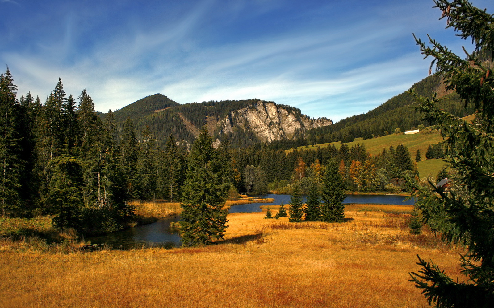 直播剪辑团队加入运动心理学专家