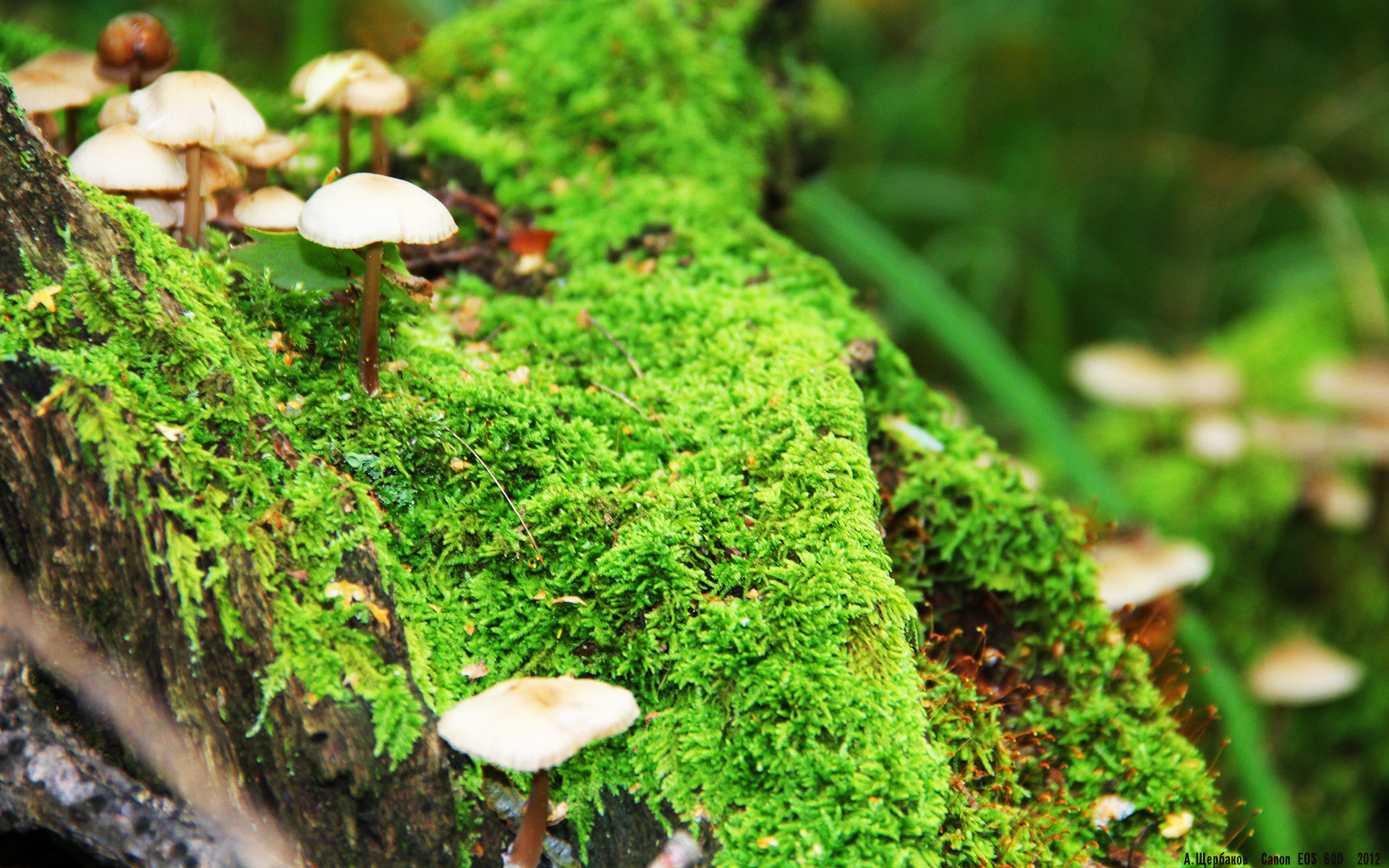 乐鱼体育(中国)官方网站-斯滕伯根决赛表现引发媒体关注，斯滕伯格的著作有哪些