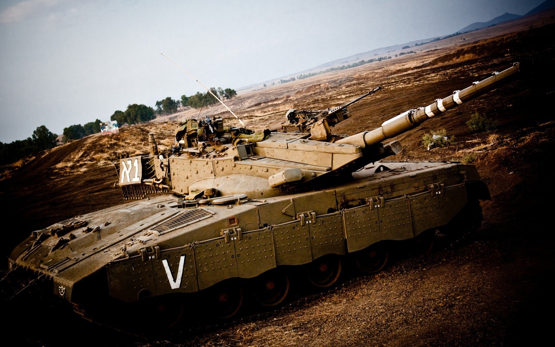 突尼斯男队自由泳冲刺力强劲,突尼斯篮球联赛赛程