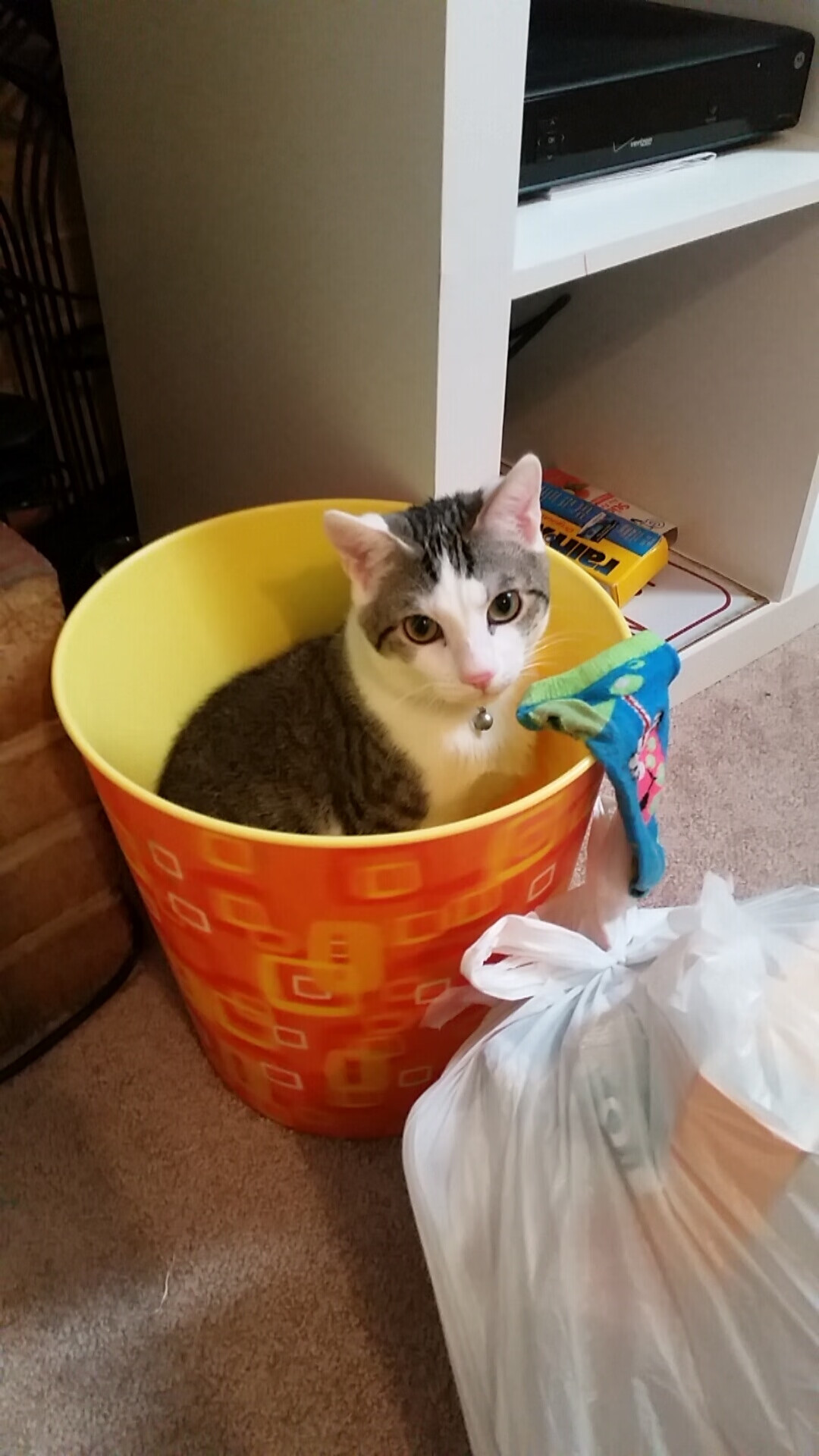 职业联赛推动医疗合作项目为球员提供赛季保障,足球赛事医疗保障方案