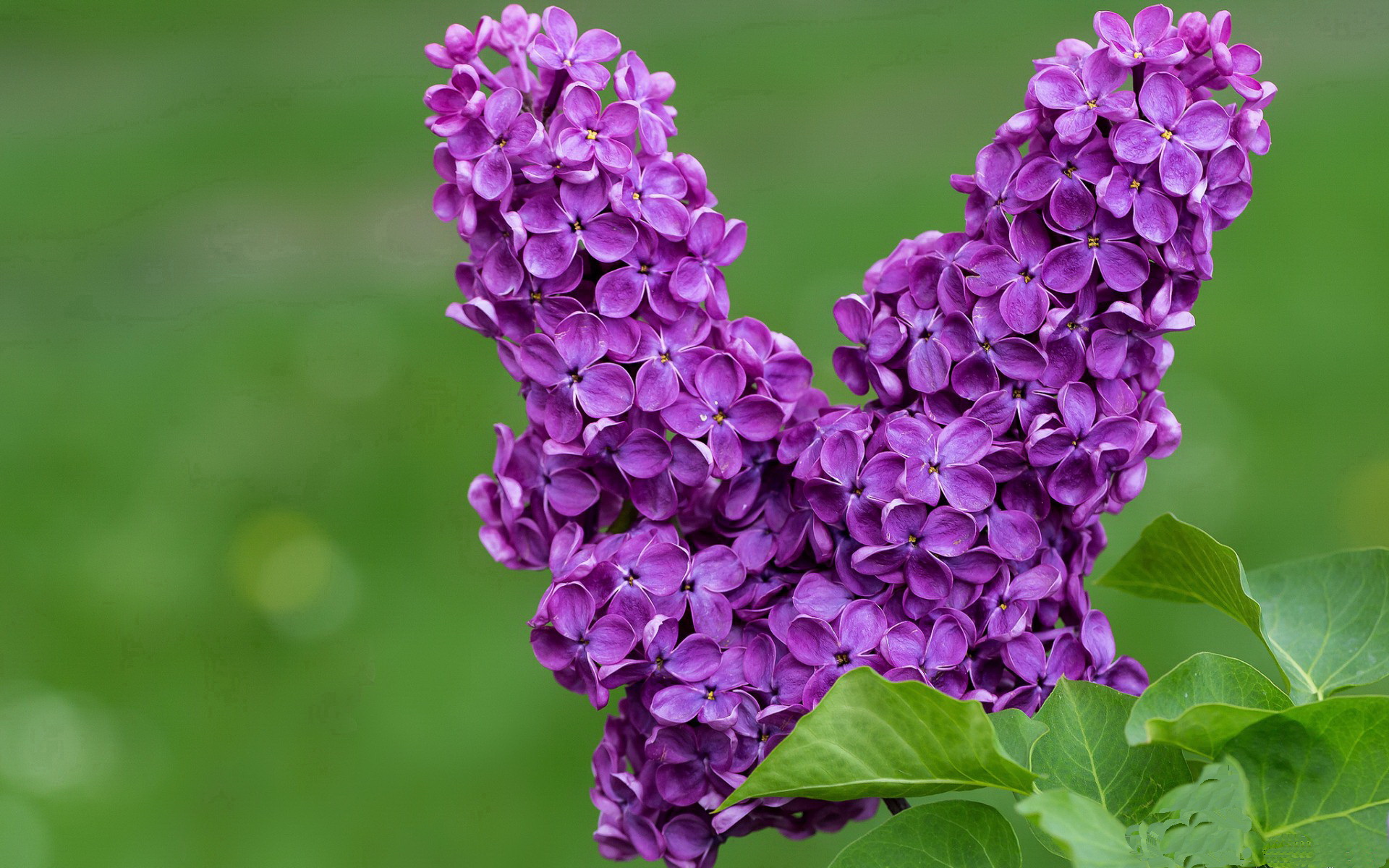 乐鱼娱乐app-青年运动员训练生活曝光背后付出远超外界想象，青少年运动员的培养