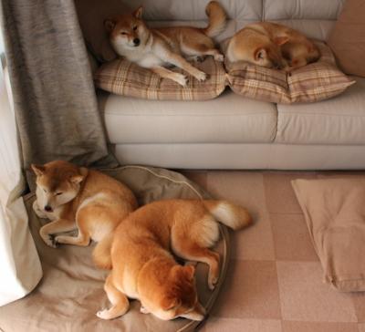 青年运动员训练生活曝光背后付出远超外界想象，青少年运动员的培养