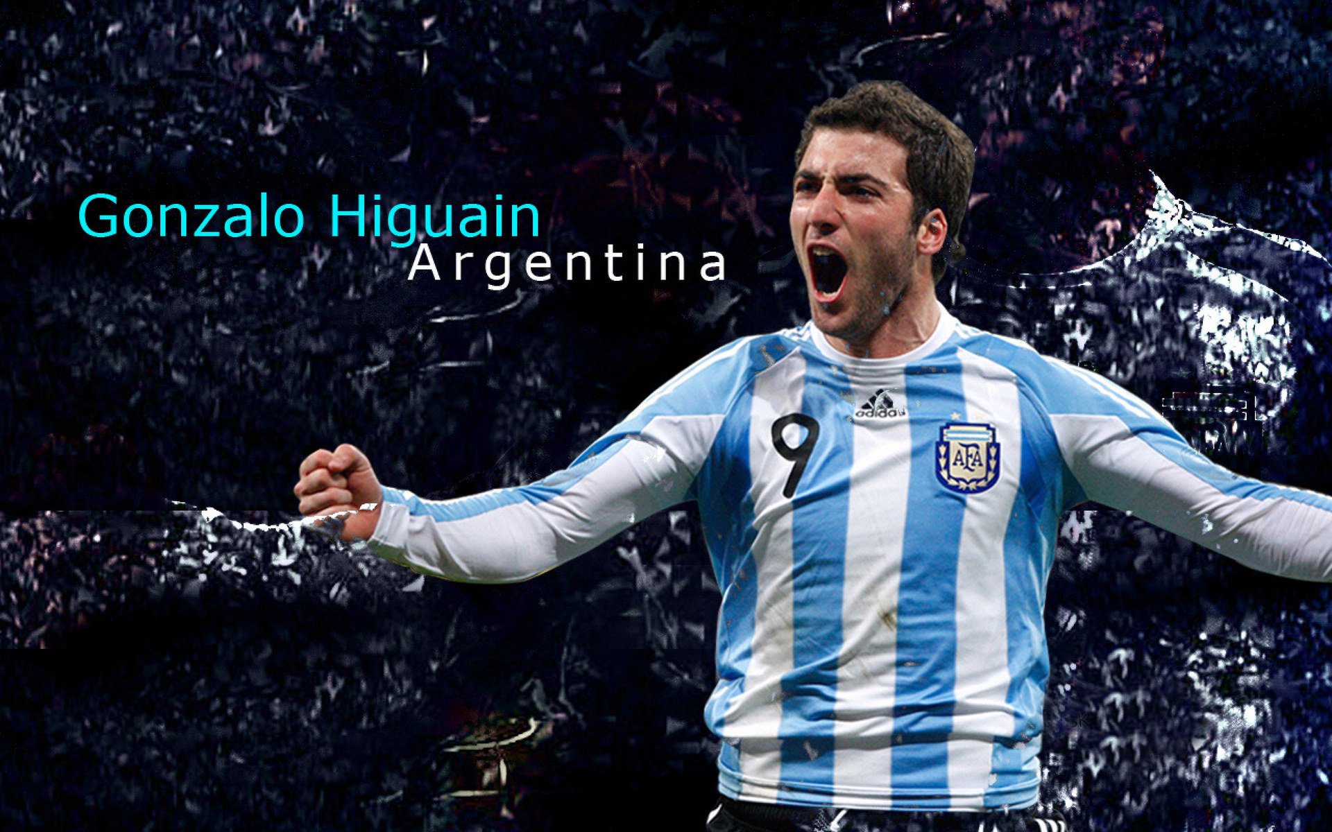 _体育景观节：运动与自然的完美融合_，体育运动对自然环境的影响