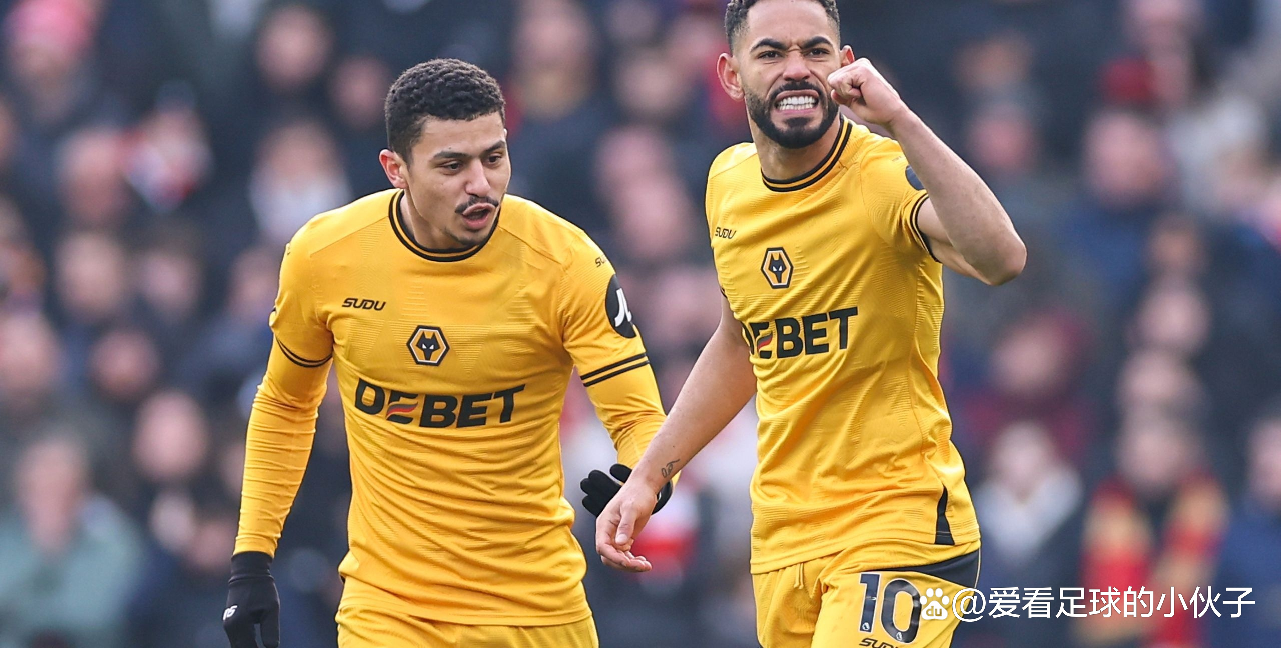 包含乐鱼体育：英超狼队的战术变革与未来展望的词条